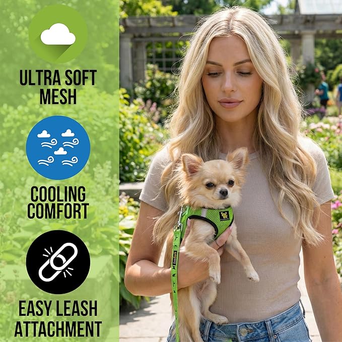 EcoBark Step in Dog Harness - Eco-Friendly Teacup Dog Harnesses for XXS, XS, and Small Dogs - Reflective and Adjustable Mini Body Halter Vest -Tiny Soft Mesh Toy Breed Harness (Neon Green, XXS)