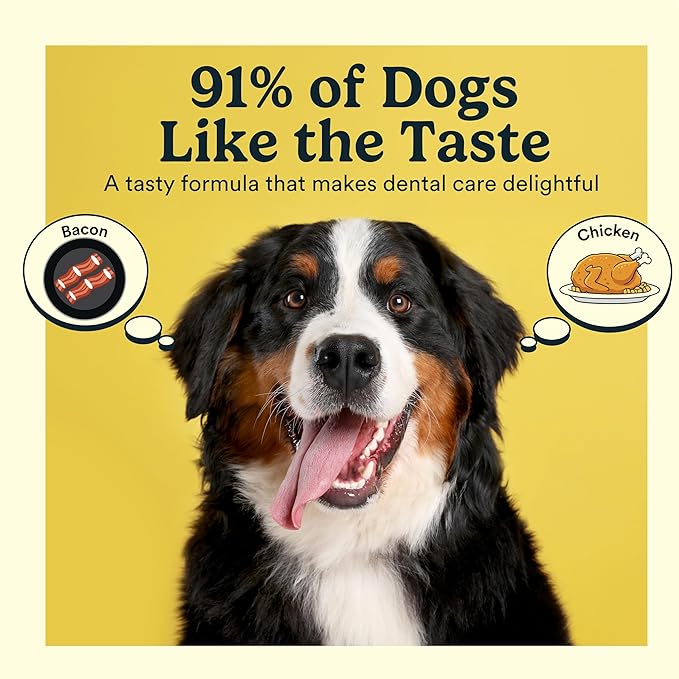 Jasper Dog Toothpaste Double Enzymatic - Plaque Remover for Teeth, Whitens Teeth, Improves Bad Breath Natural Pet Toothpaste, Bacon Flavor 3.5oz