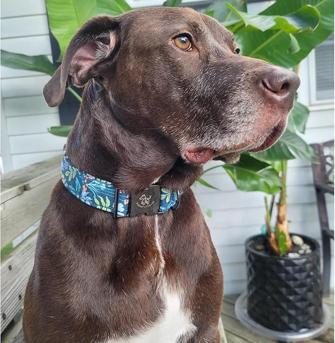 Elegant little tail Dog Collar, Floral Pet Collar Durable Darkblue Flower Dog Collars Male or Female Holiday Pet Gift Adjustable Dog Collar for Medium Dogs
