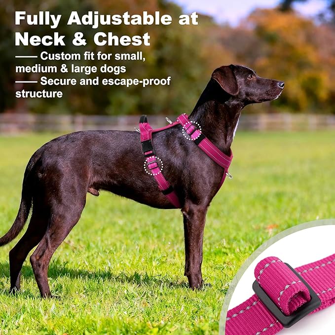 No Pull Dog Harness with Handle, Soft Mesh Padded Adjustable for Small Medium Large Dogs | Reflective Easy Walk Harness with Front Clip for Training, Running & Outdoor (Hot Pink, XS)