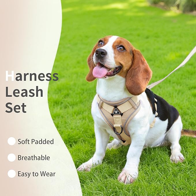No Pull Dog Harness with Leash Set for Small Sized Dog, Reflective Adjustable No Choke Front Clip Cat Vest Harness with Breathable Mesh, Comfortable Soft Padded Pet Vest, Brown M
