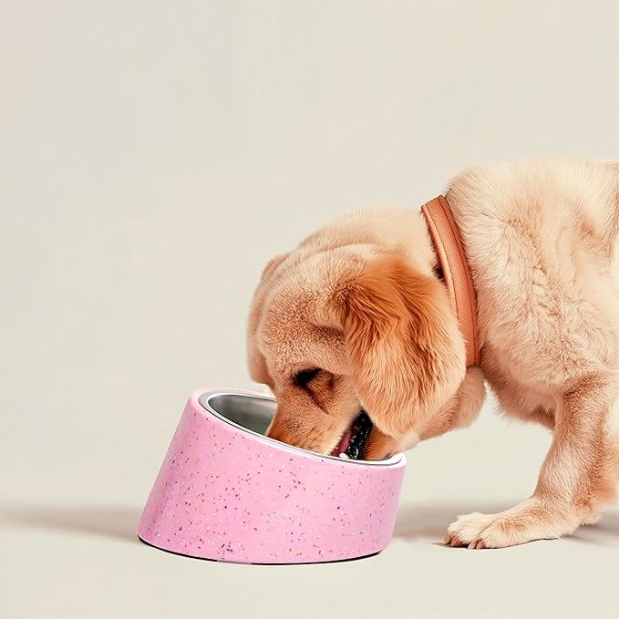 Bzyoo 2 Cup Tilted Dog Bowl for Small Dogs & Cats, Stylish Sprinkle Design, Elevated, Stainless Steel 16oz Inner Bowl, Non-Skid, Help Cotain Spills, Dishwasher Safe Color: White