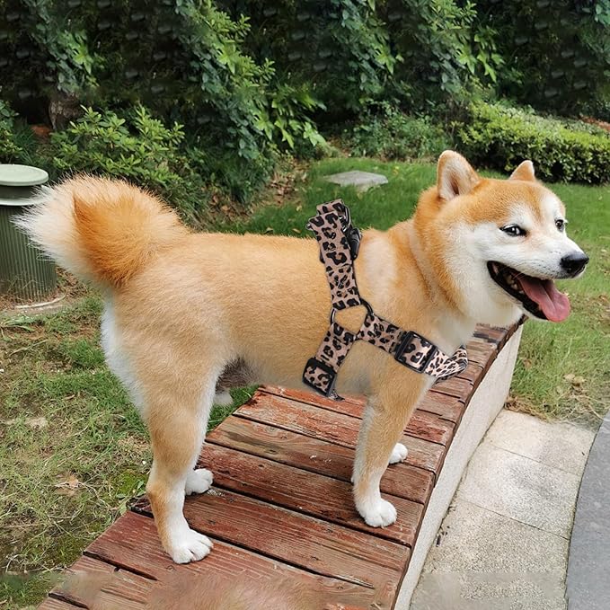 QQPETS Dog Harness Leash Set Adjustable Heavy Duty No Pull Halter Harnesses for Small Medium Large Breed Dogs Back Clip Anti-Twist Perfect for Walking