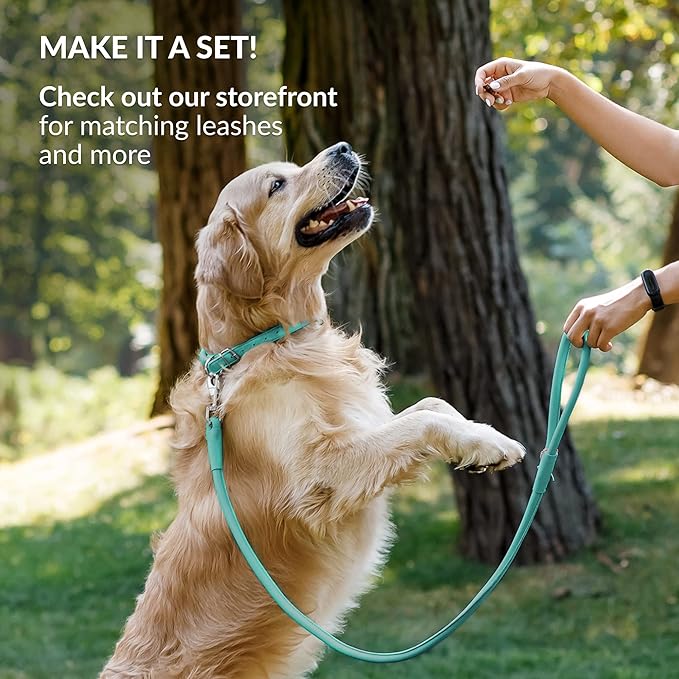 CollarDirect Rolled Leather Dog Collar, Soft Padded Round Puppy Collar, Handmade Genuine Leather Collar Dog Small Large Cat Collars 13 Colors (12-15 Inch, Mint Greent Smooth)