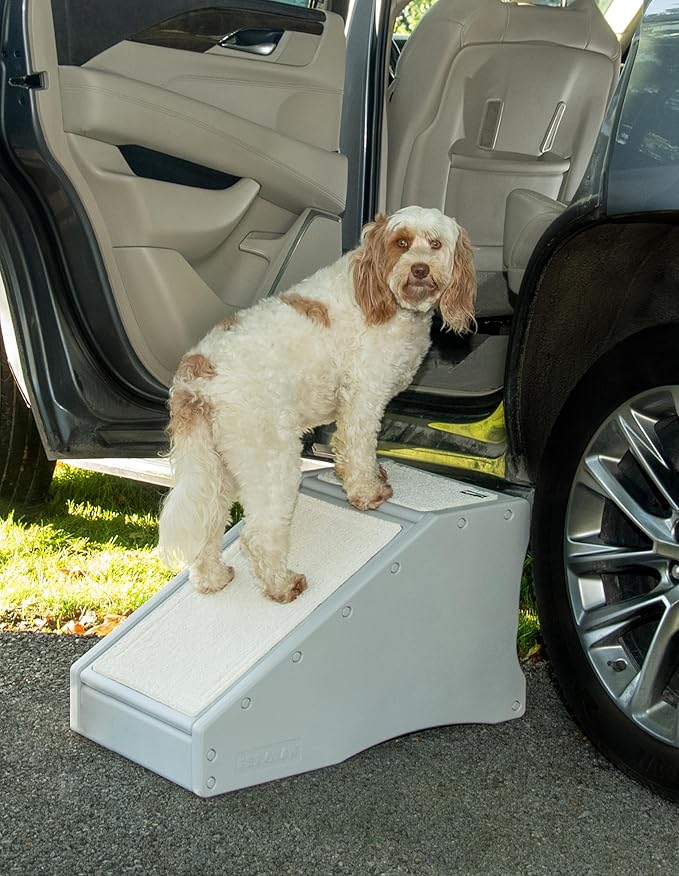 Pet Gear Stramp Stair and Ramp Combination for Dogs/Cats, Easy Step, Lightweight/Portable, Sturdy, Easy Assembly (No Tools Required) 1 Model, Available in 6 Colors
