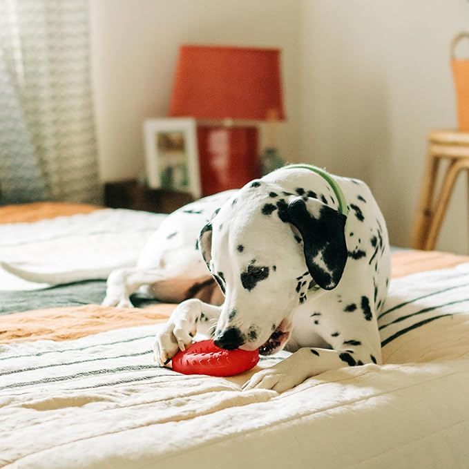 Playology Dog Toys | Dual Layer Ring Durable Chew Toy for Aggressive Chewers | Jumbo Beef Scented Toy - Easy to Clean and Made from Non Toxic Materials