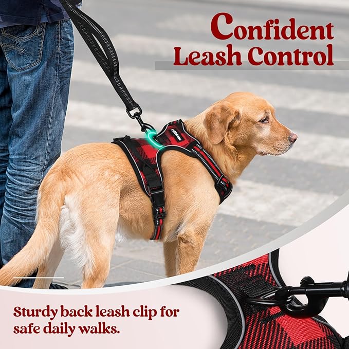 rabbitgoo Dog Harness No Pull with 2 Leash Clips, Adjustable Soft Padded, Reflective Oxford No Choke Pet Vest with Easy Control Handle for Small Dogs, Red Plaid, S