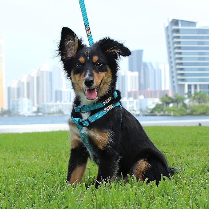 Pawtitas Recycled Reflective Step-in Dog Harness – Adjustable No-Pull Vest for Puppies to Seniors, Safe & Comfortable M Red