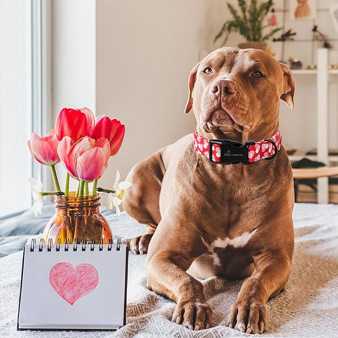 ARING PET Valentine's Day Dog Collar-Cotton Heart Dog Collars, Adjustable Valentine Heart Pet Collars Puppy Collar with Quick Release Buckle for Girl&Boy Dogs