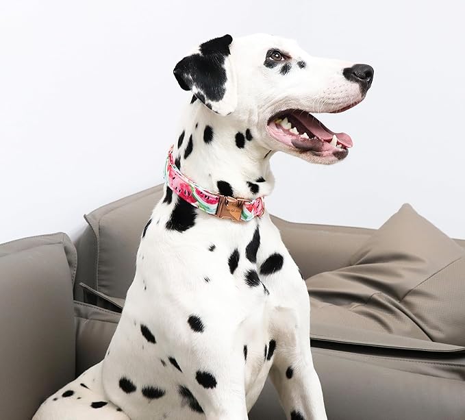 Unique Style Paws Dog Collar Metal Buckle Watermelon Cute Collar for Small Medium Large Boys Girls Dogs