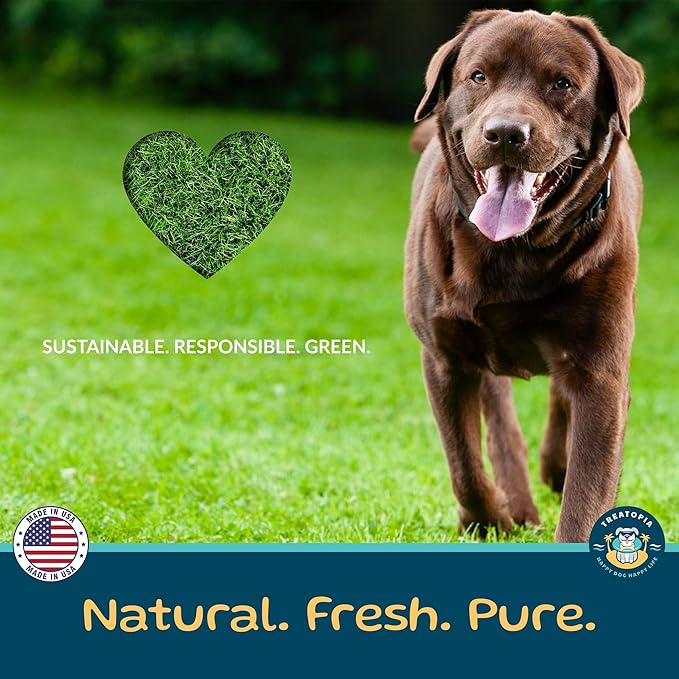 TREATOPIA Adventure Beef Marrow Dog Bones, Dynamo, 3”, 12 PC - All-Natural, Center-Cut, Long-Lasting, Healthy, Single Ingredient, Hand-Trimmed, Slow-Roasted, Made in The USA, No Additives