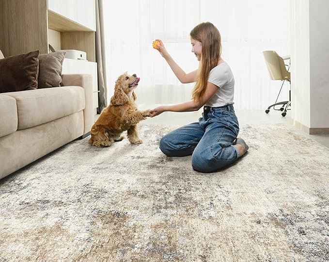 5x8 Area Rug Living Room Rugs - Washable Neutral Modern Abstract Soft Thin Large Rug Indoor Floor No Slip Rug Carpet for Bedroom Under Dining Table Home Office Decor - Golden Grey