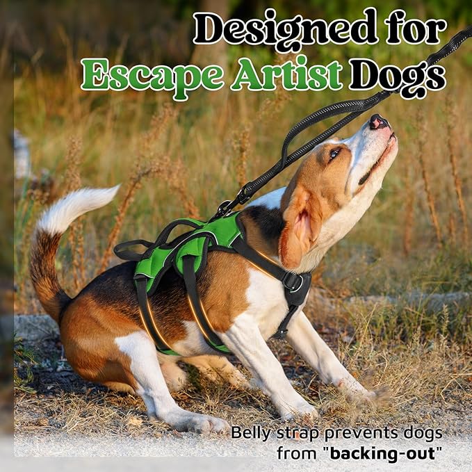 rabbitgoo Escape Proof Dog Harness, Soft Padded Full Body Pet Harness, Reflective Adjustable No Pull Vest with Lift Handle and Lesh Clip for Large Dogs Walking Hiking Training, S, Green