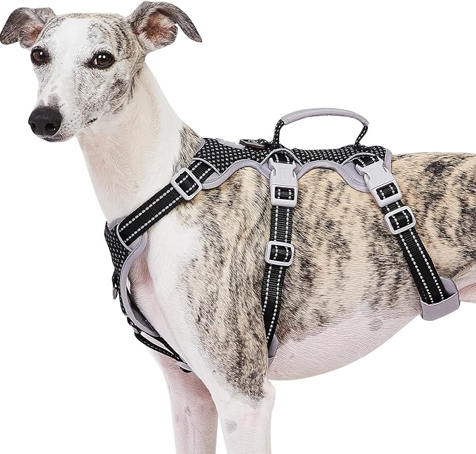 Huntboo Escape Proof Dog Harness, No Pull Reflective Harness with Lift Handle, Adjustable Pet Vest with Front and Back Leash Clips for Small Medium Large Dogs Walking Hiking Training (Black,L)