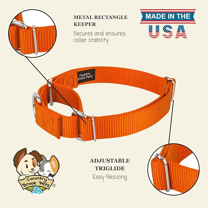 Country Brook Petz - Martingale Dog Collar - Heavy-Duty Training Collar with No Buckle - Service Dog Collar for All Pups - 10+ Warm Colors (Orange, 1 Inch, Medium)