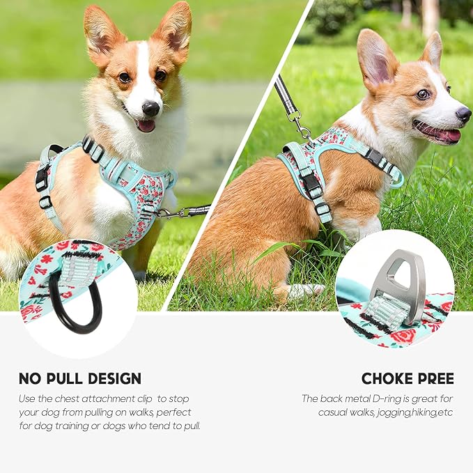 Timos No Pull Dog Harness, Release at Neck Reflective 3 Snap Buckles Adjustable No Choke Pet Vest with Front & Back 2 Leash Clips, Soft Padded Control Training Handle for Small Medium Large Dogs