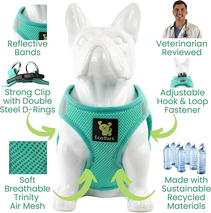 EcoBark Step in Dog Harness - Eco-Friendly Dog Harnesses for Small and Medium Breed Dogs - Reflective and Adjustable Body Halter Vest - Soft Mesh Toy Breed Harness (Mint, Large)