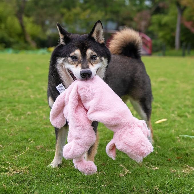 Best Pet Supplies Squeaky Dog Toys with Soft Durable Fabric for Small, Medium and Large Pets Interactive Toy for Indoor Play, Supports Active Biting and Play - Pig, Large