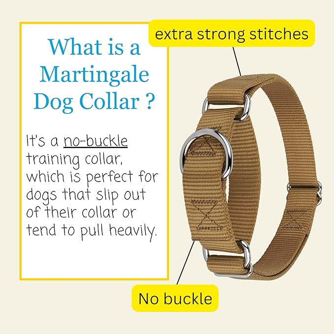 Country Brook Petz - Martingale Dog Collar - Heavy-Duty Training Collar with No Buckle - Service Dog Collar for All Pups - 10+ Warm Colors (Coyote Tan, 5/8 Inch, Extra Small)