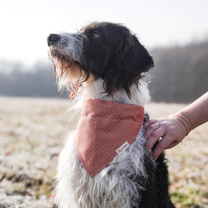Pettsie Dog Bandana Collar with Matching Friendship Bracelet – Adjustable, Durable Hemp & Soft Cotton, Stylish & Comfortable Pet Bandana, Designed for Dog Lovers, Large, Orange