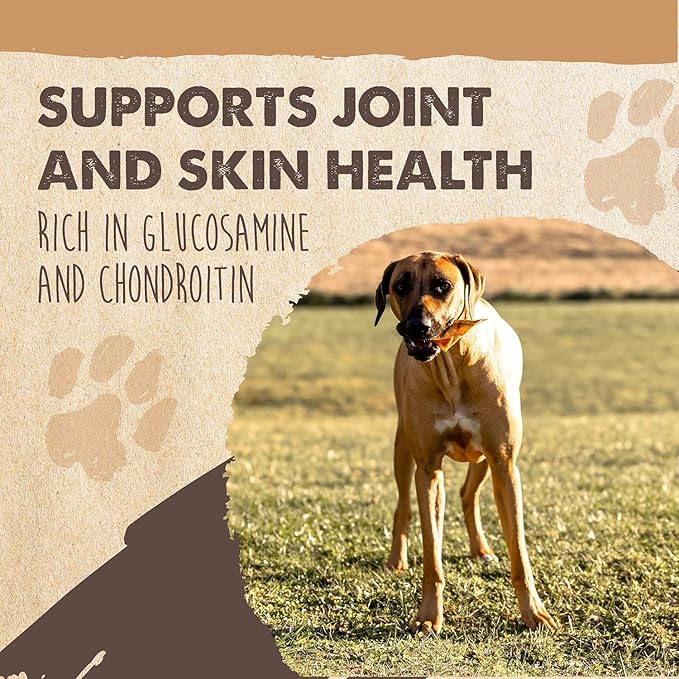 Mighty Paw Full Pig Ears for Dogs | All Natural Treats. Single Ingredient Pet Treat. Better Than Rawhide Dog Snacks for Puppy & Large/Medium Breeds. Pigs Ear Chews (12 Pack)