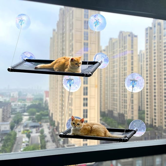 Cat Hammock for Wall with 4 Suction Cups, Cat Window Perch, Space Saving and Easy Mounted Large Cats Bed, Pet Resting Safety Holds (Large+ Medium)