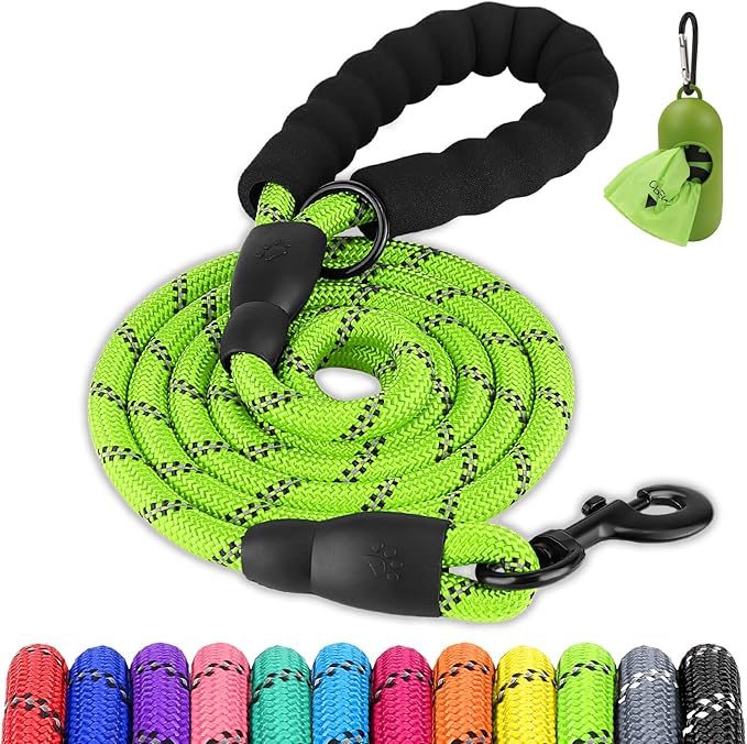 Joytale Dog Leash for Large Dogs, Heavy Duty Nylon Leashes with Comfortable Padded Handle and Highly Reflective Threads, Ideal for Walking and Training, Green, 5'횞1/2''