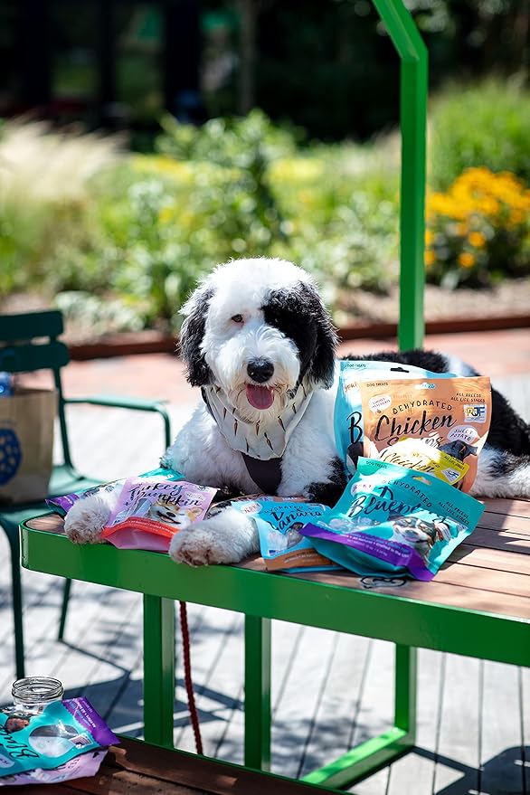 Pet Jerky Factory Premium Whole Muscle Chicken 12 oz. Dog Jerky Treats | 100% Human Grade | USA Made | High Protein | Grain Free | Limited Ingredients | No Filler | BHA-BHT Free | Chewy Texture