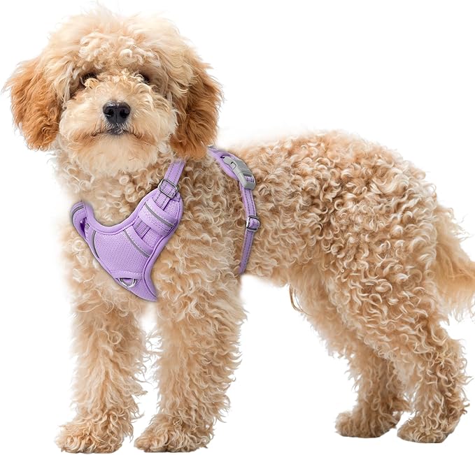 BARKBAY No Pull Dog Harness Large Reflective Dog Harness with Front Clip and Easy Control Handle for Walking Training Running with ID tag Pocket(Violet Purple,XS)