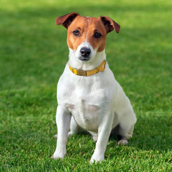 Reflective Leather Dog Collar with AirTag Holder - Soft Apple Airtag Dog Collar with Metal Buckle - Safety Cotton Pet Collars for Dogs Small Large Dogs Puppy (Yellow, L, 17"-21")