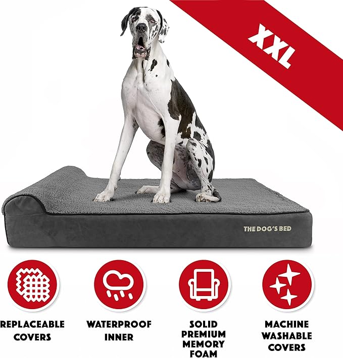 The Dog’s Bed Orthopedic Memory Foam Dog Bed with Headrest, Plush Fabric, Grey Plush, XXL, 6-Inch