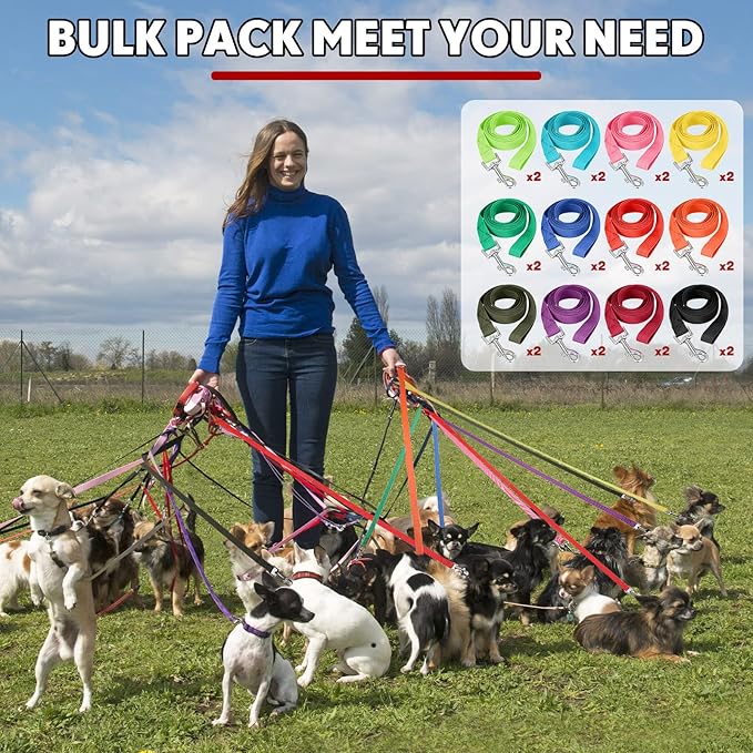 24 Pack Nylon Dog Training Leash Bulk 5 ft Dog Leash for Small and Medium Puppy Traction Rope for Training, Play, Camping, or Backyard, 12 Assorted Colors(Bright Colors)