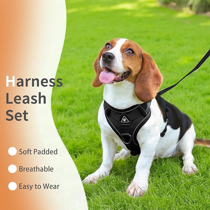 No Pull Dog Harness with Leash Set for Medium Sized Dog, Reflective Adjustable No Choke Front Clip Cat Vest Harness with Breathable Mesh, Comfortable Soft Padded Pet Vest, Black XL