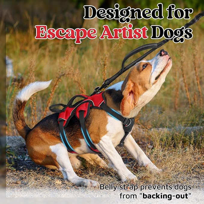 rabbitgoo Escape Proof Dog Harness, Soft Padded Full Body Pet Harness, Reflective Adjustable No Pull Vest with Lift Handle and Leash Clip for Large Dogs Walking Hiking Training, S, Red