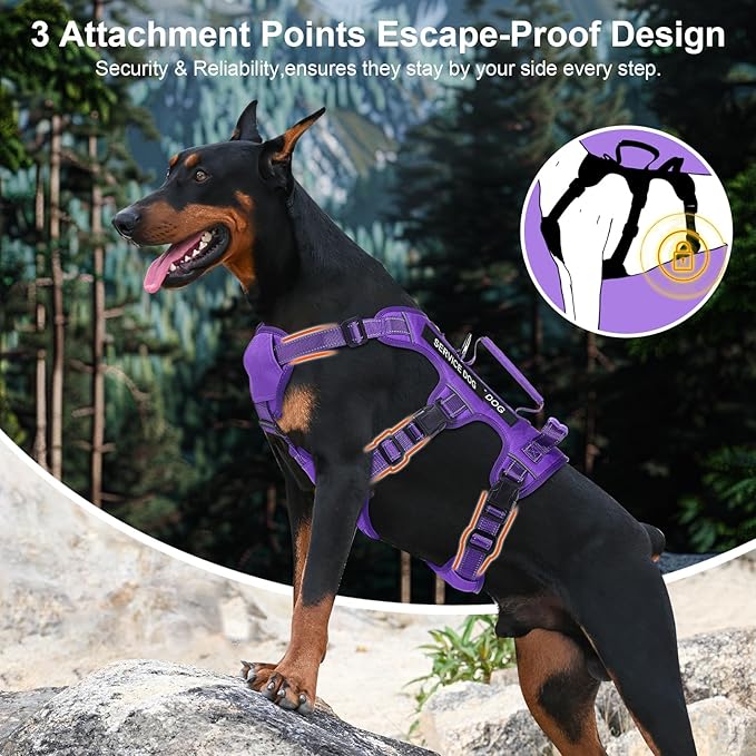 Escape Proof Dog Harness for Large Medium Sized Dogs Six Point Adjustable, Service Dog Vest Harness and Leash Set, No Pull Dogs Harnesses with Handle, XL Dog Harnesses for Walking(Purple, XL)