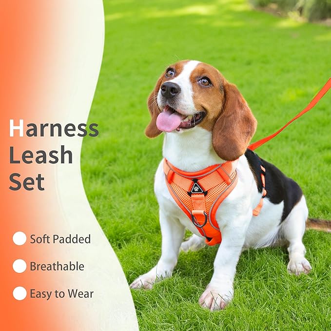 No Pull Dog Harness with Leash Set for Small Sized Dog, Reflective Adjustable No Choke Front Clip Cat Vest Harness with Breathable Mesh, Comfortable Soft Padded Pet Vest, Orange M