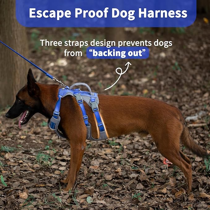 Huntboo Reflective Dog Harness with Handle, Escape Proof, No Slip, Breathable, Lightweight, Adjustable Lift Harness for Small, Medium, and Large Dogs Walking, Training, and Running Gear(Sea Blue,L)