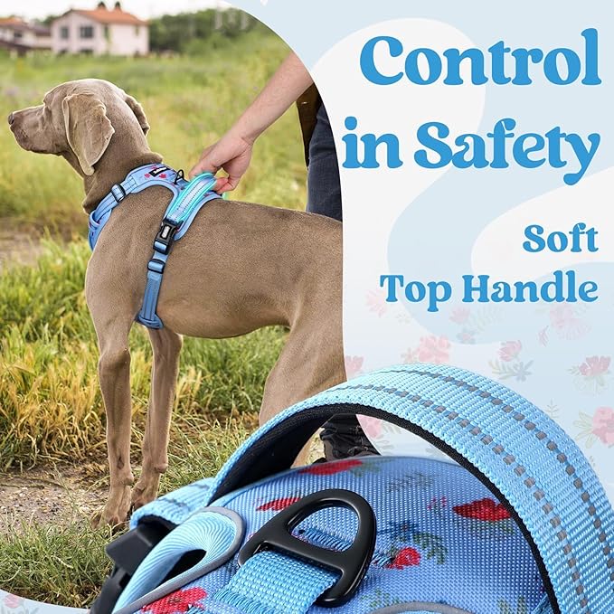 rabbitgoo Dog Harness Small Sized, No Pull Pet Harness with 3 Buckles, Adjustable Soft Padded Vest with Control Handle, Walking Reflective Pet Vest for Small Dogs, Floral Blue, S