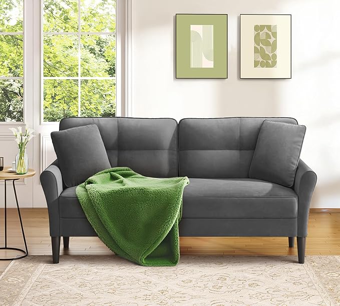 69" Loveseat Sofa, Velvet Small Couches for Small Spaces, Love Seat Couches with 2 Pillows, Tool-Free Setup Loveseats, 700lb Load Sofas for Living Room, Mini Couch for Bedroom, Sofa Couch, Charcoal