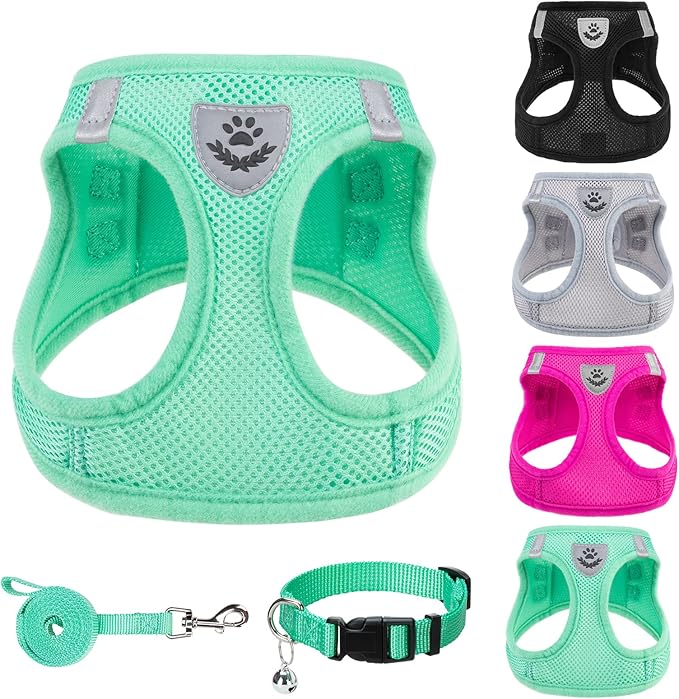 PUPTECK Adjustable Dog Harness Collar and Leash Set Step in No Pull Pet Harness for Small Medium Dogs Puppy and Cats Outdoor Walking Running, Soft Mesh Padded Reflective Vest Harnesses, Solid Green XS
