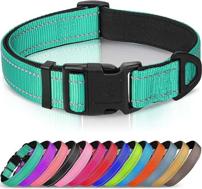 Joytale Reflective Dog Collar, Soft Neoprene Padded, Metal D-Ring, Nylon Pet Collar Adjustable for Large Dogs, Teal, L
