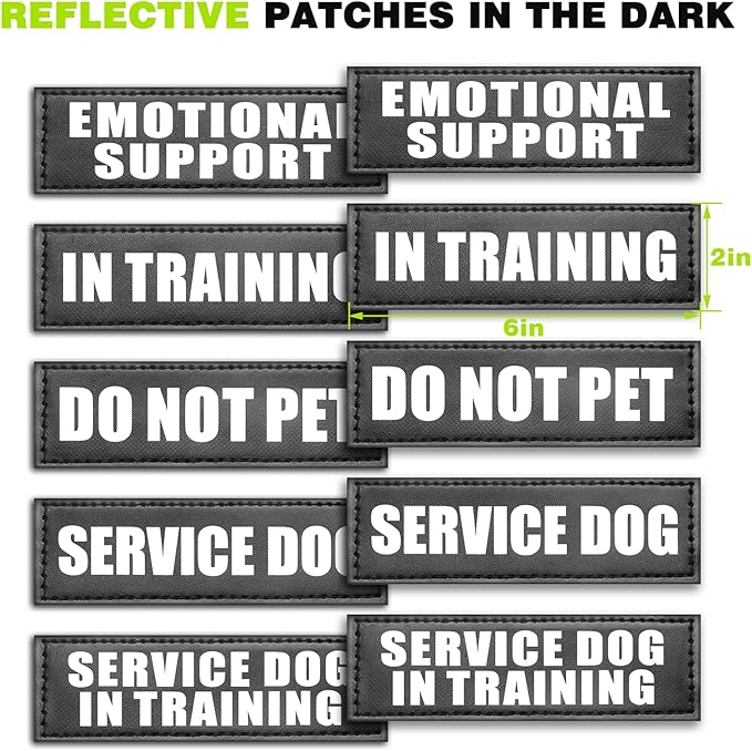 WINSEE Service Dog Vest Harness for Medium Dog, Tactical Working MOLLE Vest with 10 Pet Patches, No Pull Heavy Duty Harness for Training Walking