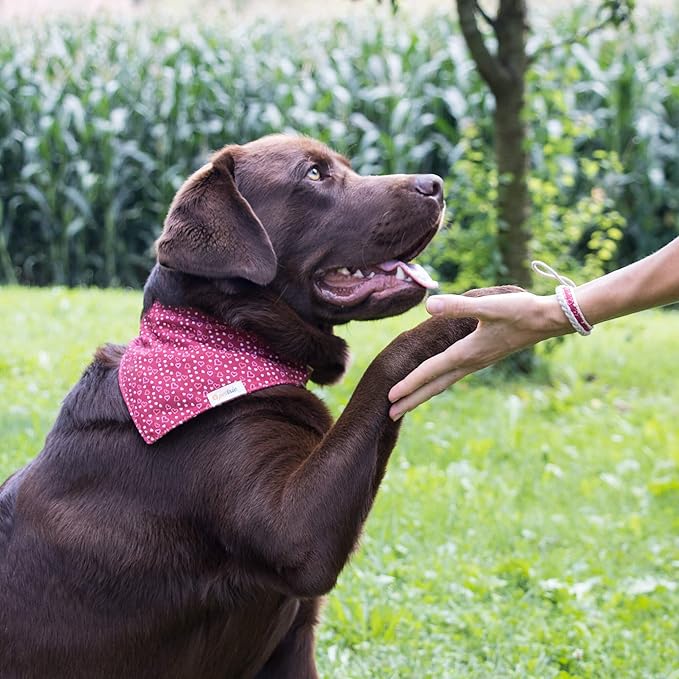 Pettsie Adjustable Dog Bandana Collar with Matching Owner Friendship Bracelet – Soft & Durable Hemp, Stylish Removable Scarf for Dogs, Gift-Ready Set for Pet Lovers, Medium, Red