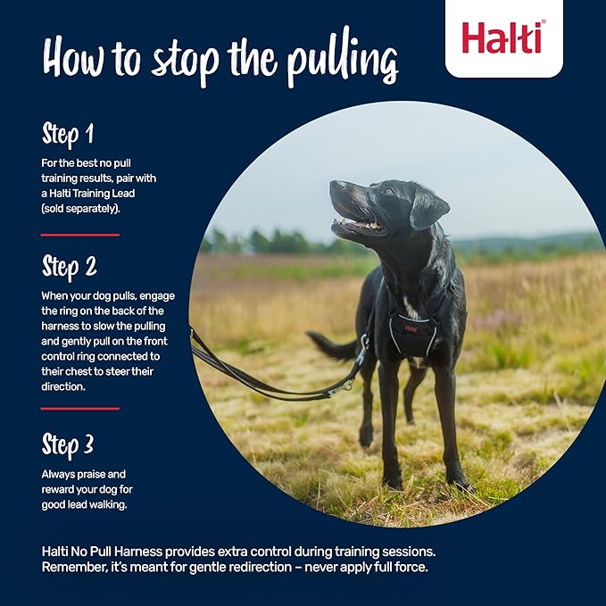 Halti No Pull Harness - Stop Your Dog Pulling on The Leash. Adjustable, Lightweight and Easy to Use. Reflective Dog Training Harness for Toy and Small Dogs (Size XS, Deep Walnut)