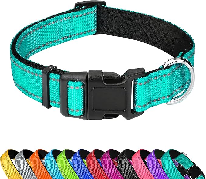 Reflective Dog Collar, Adjustable Soft Neoprene Padded Nylon Pet Collars with Buckle for Small Dogs, Teal,S