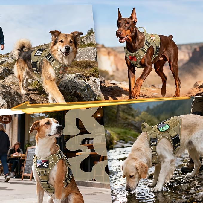 rabbitgoo Tactical Dog Harness Medium Large Sized, No Pull Upgraded Reflective Heavy Duty Molle Vest with Handle, Adjustable Military Service Dog Vest for Walking Hiking Training, Brown, M