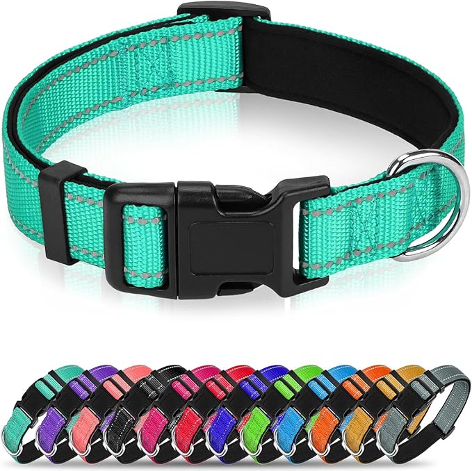 Reflective Dog Collar for Small Dogs, Soft Neoprene Padded with Quick Release Buckle, Adjustable Nylon Pet Collar for Walking,Teal,S