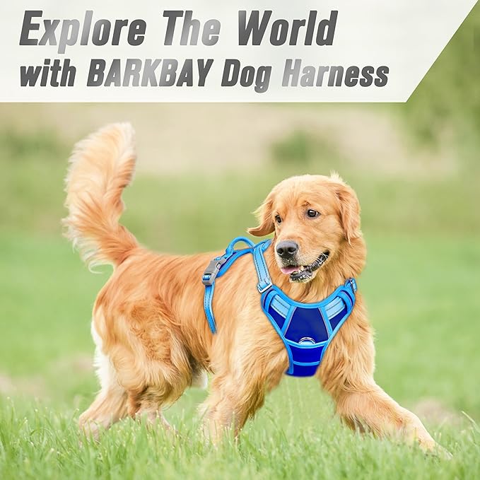 BARKBAY No Pull Dog Harness Front Clip Heavy Duty Reflective Easy Control Handle for Large Dog Walking(Sapphire Blue & Blue,L)