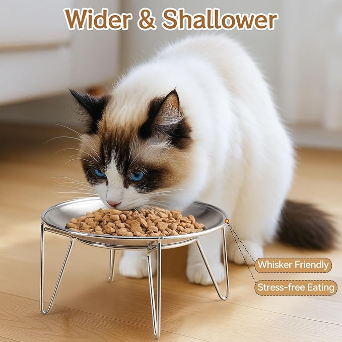 Cat Food Bowls, 2 Pcs Stainless Steel Cats Food and Water Whisker Fatigue Shallow Dishes, Small Dog Puppies Fat Faced Cat Kitten Supplies (2 Plates with Stand)