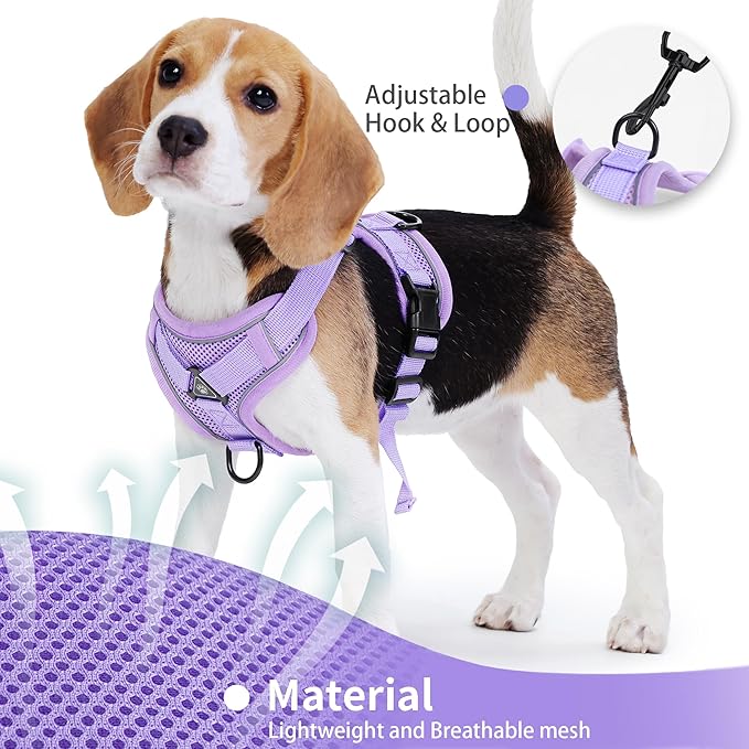No Pull Dog Harness with Leash Set for Small Sized Dog, Reflective Adjustable No Choke Front Clip Cat Vest Harness with Breathable Mesh, Comfortable Soft Padded Pet Vest, Purple S